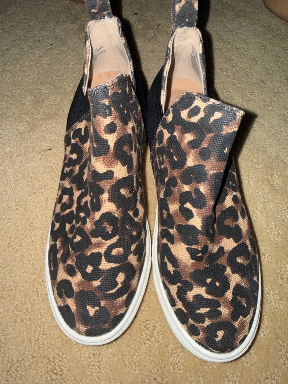 Steve Madden Shoe
